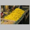 25-12-28---031- Pondichery.JPG